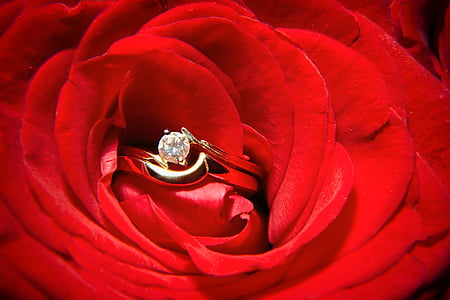 gold-colored ring with clear gemstone thumbnail