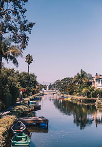 photography of river surrounded by plants thumbnail