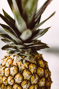 selective focus photography of pineapple thumbnail