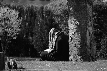 grayscale photo of person sitting under the tree thumbnail