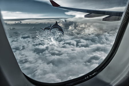 windowpane of the plane thumbnail