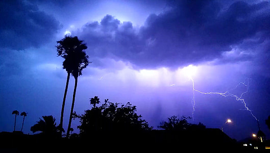 trees and lightning at night thumbnail