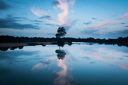 photo of trees near body of water under blue and white sky thumbnail