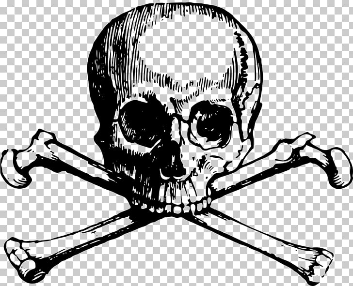 Skull And Bones Skull And Crossbones Cartoon Skull Finger Png Clipart Free Cliparts Uihere