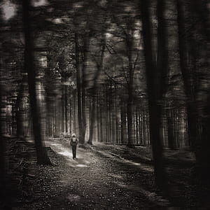 grayscale photo of person walking toward forest thumbnail