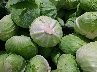 green cabbage lot thumbnail