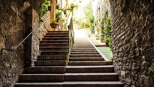 brown concrete stairs thumbnail