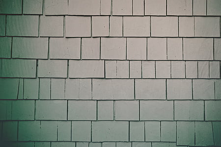 shallow, focus, photography, gray thumbnail
