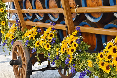 yellow petaled flowers on wagon thumbnail