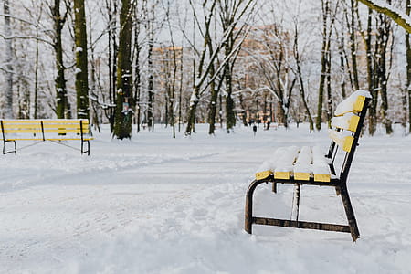 Wintery Park thumbnail