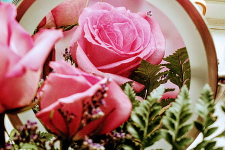 Pink Petaled Flowers Arrangement thumbnail