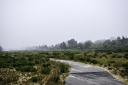 Ninigret Pond National Wildlife Refuge landscape, Rhode Island thumbnail