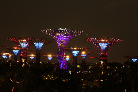 assorted-color tower buildings under night sky thumbnail
