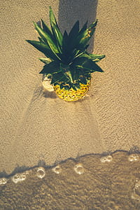 Pineapple on the beach thumbnail