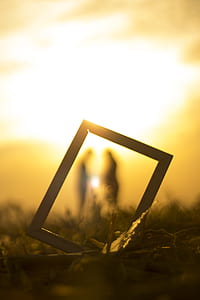 photo frame on soil thumbnail