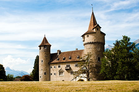 green lawn brown castle thumbnail