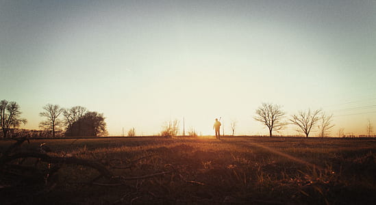 person standing on grass field thumbnail