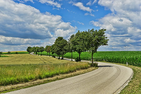 green leafed trees during daytime thumbnail