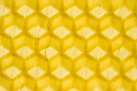 yellow wallpaper thumbnail