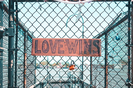 Lovewins sign on gray wire fence thumbnail