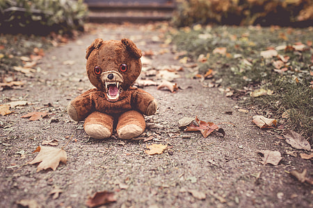 brown bear plush toy on gray concrete floor thumbnail