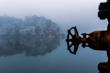 Reflection of Trees on Water thumbnail