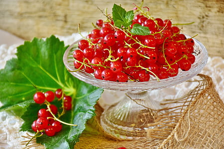 red cherries on footed glass stand thumbnail