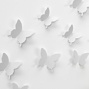 white butterfly papers on white surface thumbnail