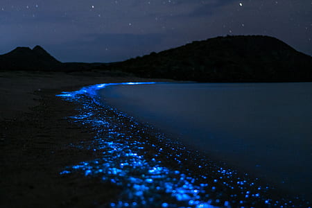 body of water during nighttime thumbnail