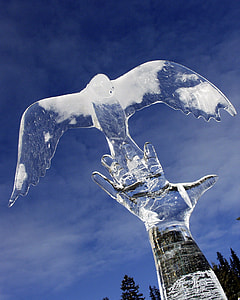 ice bird art thumbnail