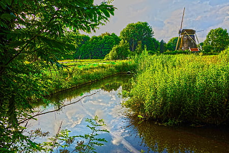 calm water surrounded by green plants at daytime thumbnail