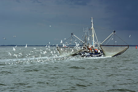 boat shrinking in water thumbnail