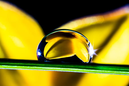 macro shot of droplet on leaf thumbnail