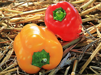 two yellow and red bell peppers thumbnail