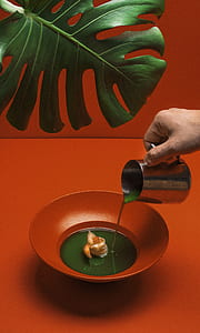 person pouring green liquid on brown bowl thumbnail