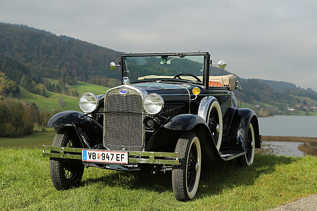 vintage black coupe on grass field thumbnail