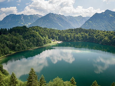 body of water near tree under cloudy sky thumbnail