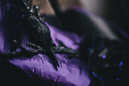 Halloween decorations thumbnail