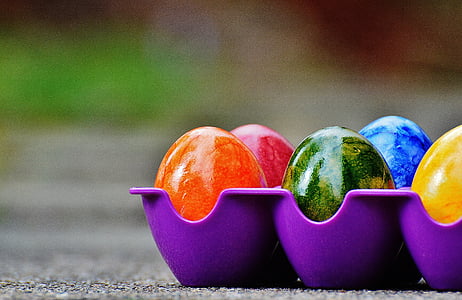 colored egg on purple rack thumbnail