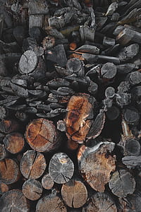 gray log lot thumbnail