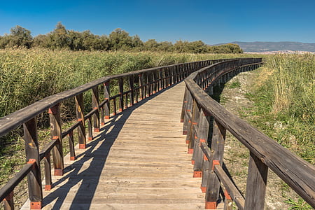 brown wooden bridge surrounded by grass thumbnail