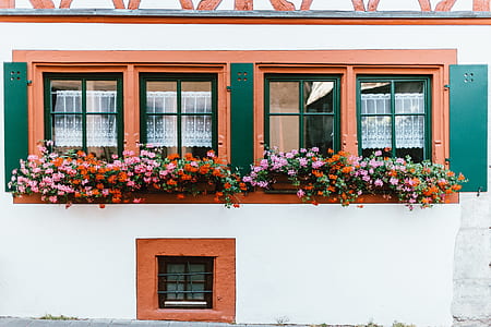 red and white painted house with glass window and flowers outside during daytime thumbnail