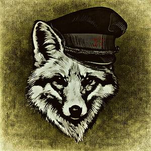 gray wolf wearing black hat illustration thumbnail