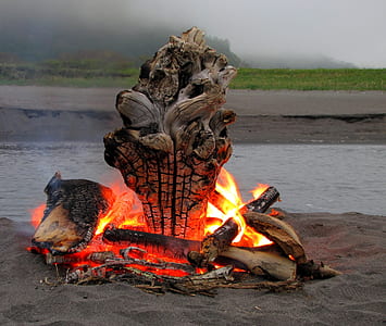 bonfire on sand near body of water under gray sky during daytime thumbnail