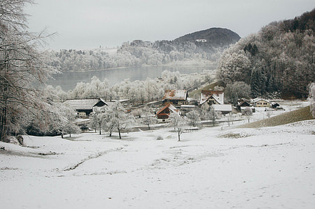 snow covered houses and field during daytime thumbnail