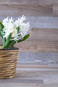 white flowers thumbnail