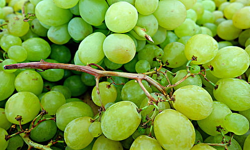 green grapes thumbnail