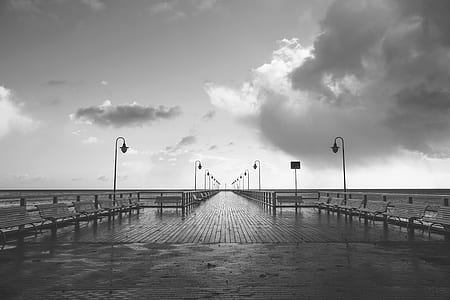 wood, jetty, black-and-white, dawn thumbnail