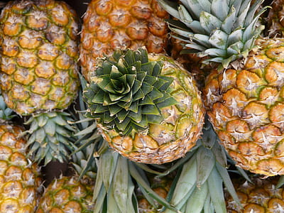 pineapple fruits thumbnail