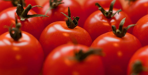 pile of red tomatoes thumbnail